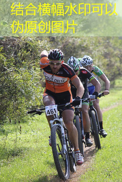 jogo de cassino e maquina