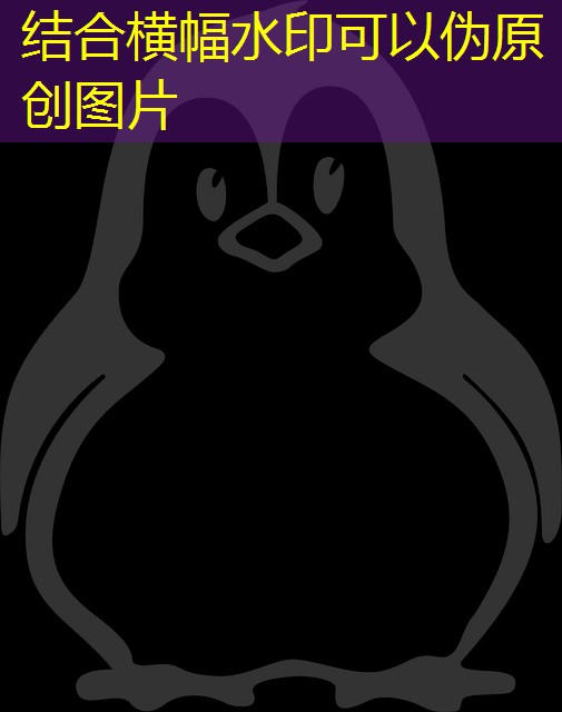 lugares onde é proibido jogar cassino