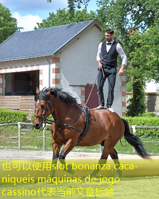 slot bonanza caca-niqueis máquinas de jogo cassino