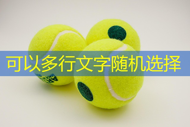 legalização jogos cassino parana