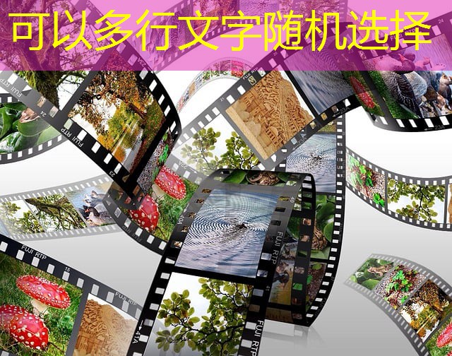 jogo da arvore cassino nome