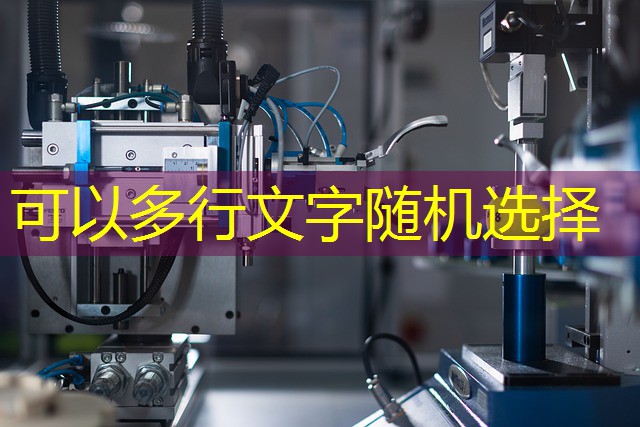 pesca feliz jogo cassino