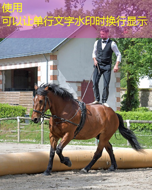 jogo roleta cassino ganhar dinheiro