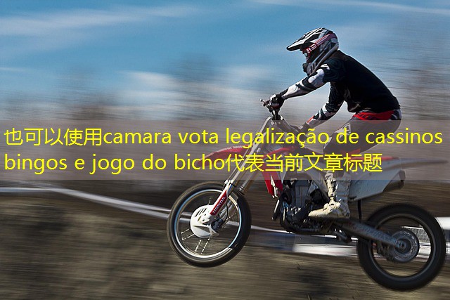 camara vota legalização de cassinos bingos e jogo do bicho