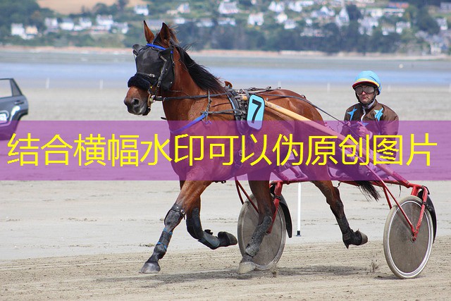 jogos online cassino hallowen