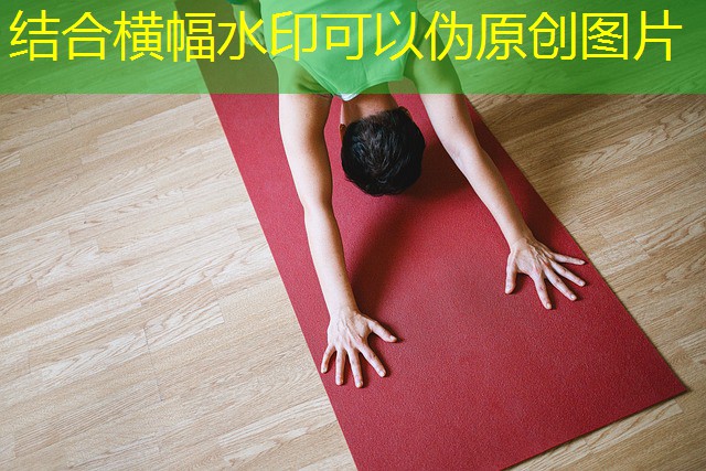 festa cassino ficha de jogo