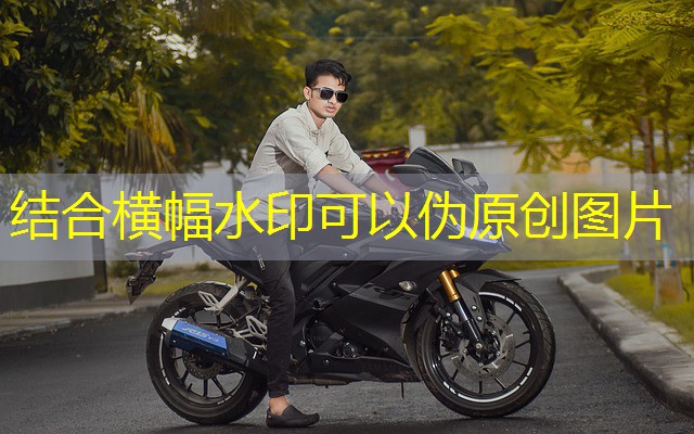 jogos utilizados em cassinos